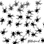 Spinnen zwart, lange poten