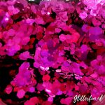 Fuchsia grote glitter – 1-3 mm